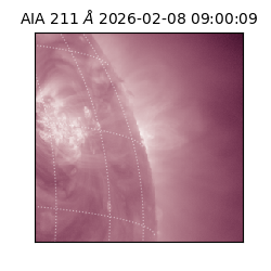 saia - 2026-02-08T09:00:09.626000