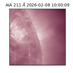 saia - 2026-02-08T10:00:09.626000