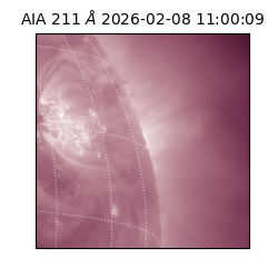 saia - 2026-02-08T11:00:09.630000