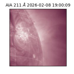 saia - 2026-02-08T19:00:09.632000