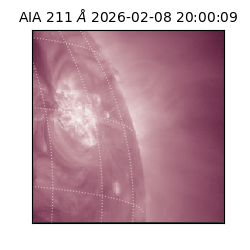 saia - 2026-02-08T20:00:09.633000