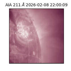 saia - 2026-02-08T22:00:09.626000