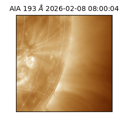 saia - 2026-02-08T08:00:04.846000