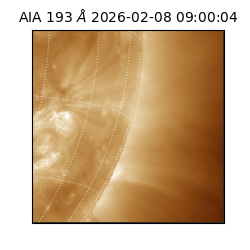 saia - 2026-02-08T09:00:04.843000