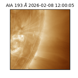 saia - 2026-02-08T12:00:05.232000