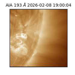 saia - 2026-02-08T19:00:04.843000