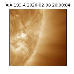 saia - 2026-02-08T20:00:04.846000