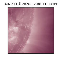 saia - 2026-02-08T11:00:09.630000