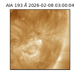 saia - 2026-02-08T03:00:04.843000
