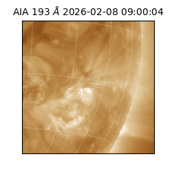 saia - 2026-02-08T09:00:04.843000