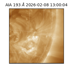saia - 2026-02-08T13:00:04.843000