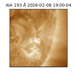 saia - 2026-02-08T19:00:04.843000