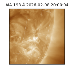 saia - 2026-02-08T20:00:04.846000