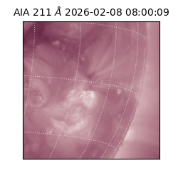 saia - 2026-02-08T08:00:09.625000