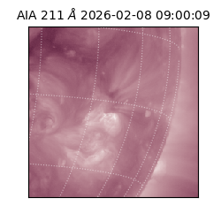 saia - 2026-02-08T09:00:09.626000