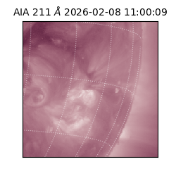 saia - 2026-02-08T11:00:09.630000