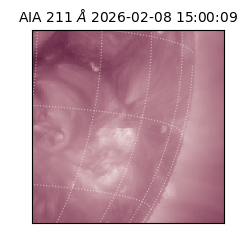 saia - 2026-02-08T15:00:09.629000