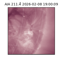 saia - 2026-02-08T19:00:09.632000