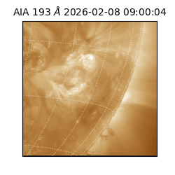 saia - 2026-02-08T09:00:04.843000