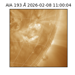 saia - 2026-02-08T11:00:04.843000