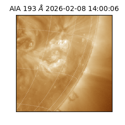 saia - 2026-02-08T14:00:06.599000