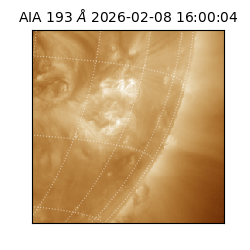 saia - 2026-02-08T16:00:04.843000