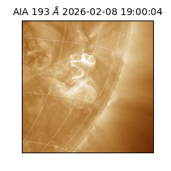 saia - 2026-02-08T19:00:04.843000