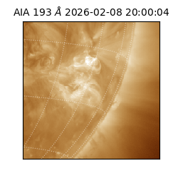 saia - 2026-02-08T20:00:04.846000