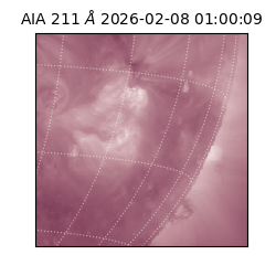 saia - 2026-02-08T01:00:09.629000