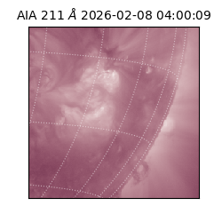 saia - 2026-02-08T04:00:09.626000