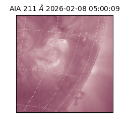 saia - 2026-02-08T05:00:09.626000