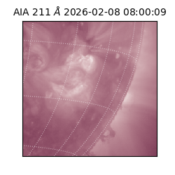 saia - 2026-02-08T08:00:09.625000