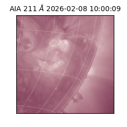 saia - 2026-02-08T10:00:09.626000
