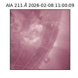 saia - 2026-02-08T11:00:09.630000