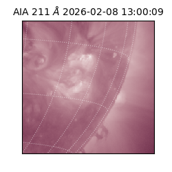 saia - 2026-02-08T13:00:09.630000