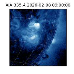 saia - 2026-02-08T09:00:00.625000