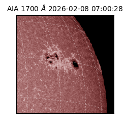 saia - 2026-02-08T07:00:28.718000