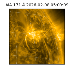 saia - 2026-02-08T05:00:09.349000
