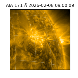 saia - 2026-02-08T09:00:09.350000