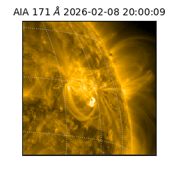 saia - 2026-02-08T20:00:09.350000