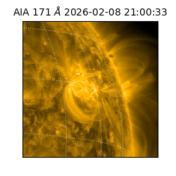 saia - 2026-02-08T21:00:33.342000