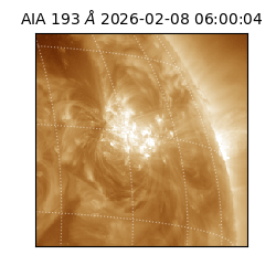 saia - 2026-02-08T06:00:04.843000