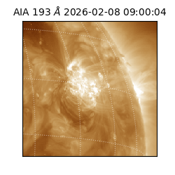 saia - 2026-02-08T09:00:04.843000