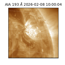 saia - 2026-02-08T10:00:04.843000