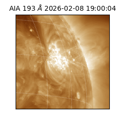 saia - 2026-02-08T19:00:04.843000