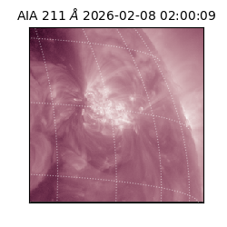 saia - 2026-02-08T02:00:09.626000