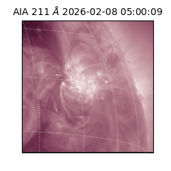 saia - 2026-02-08T05:00:09.626000