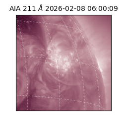 saia - 2026-02-08T06:00:09.626000