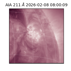 saia - 2026-02-08T08:00:09.625000