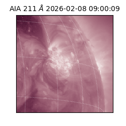 saia - 2026-02-08T09:00:09.626000